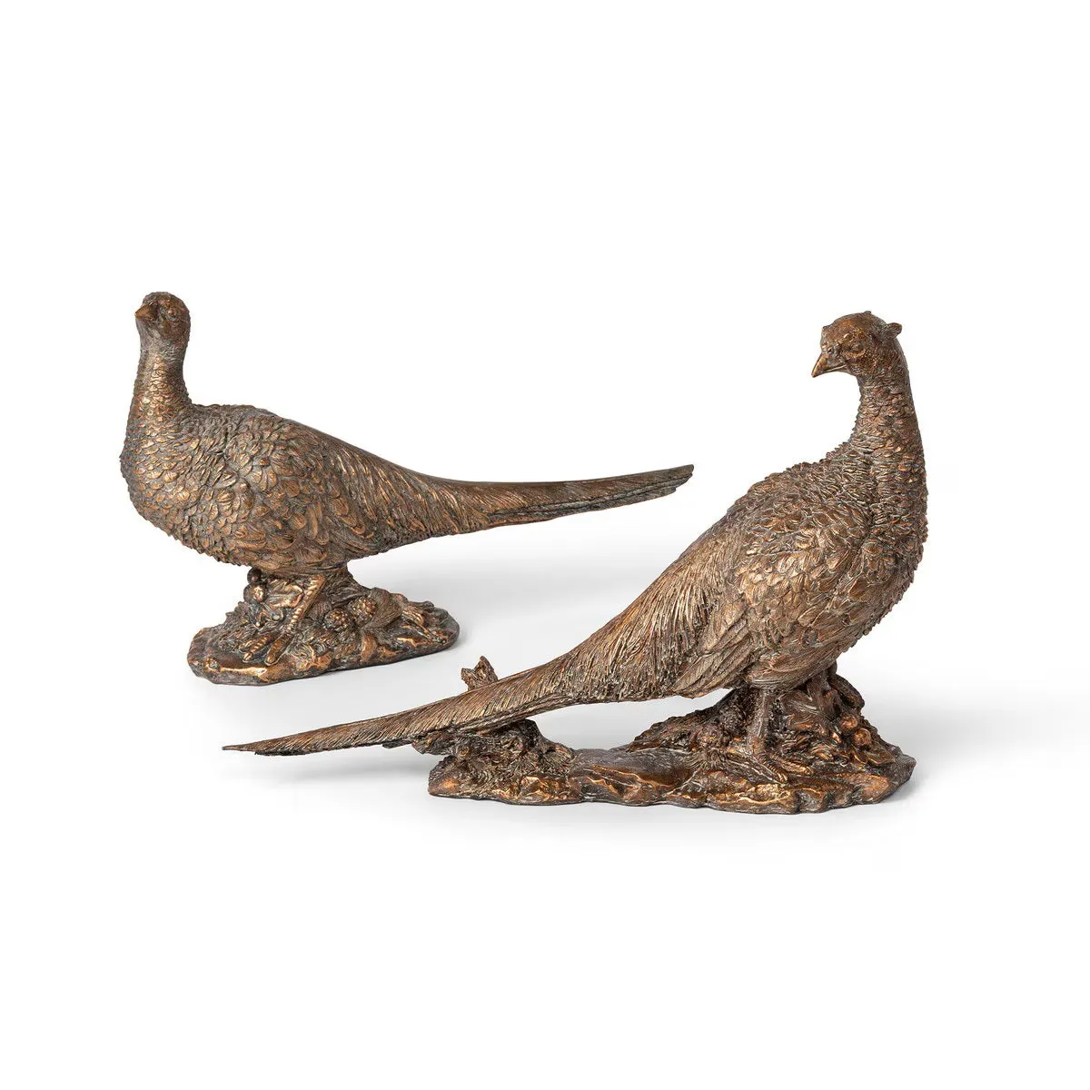 Bronzed Pheasant Duo