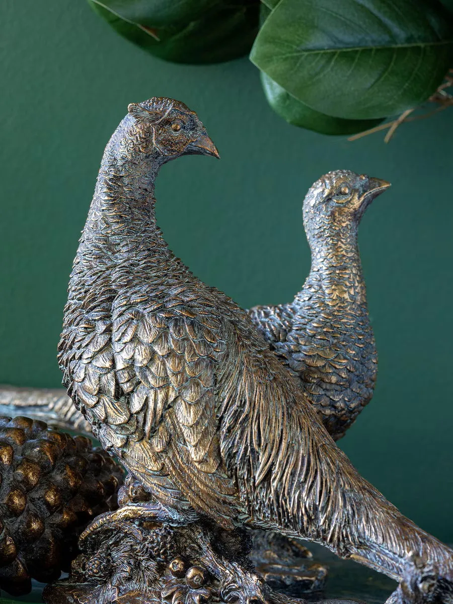 Bronzed Pheasant Duo