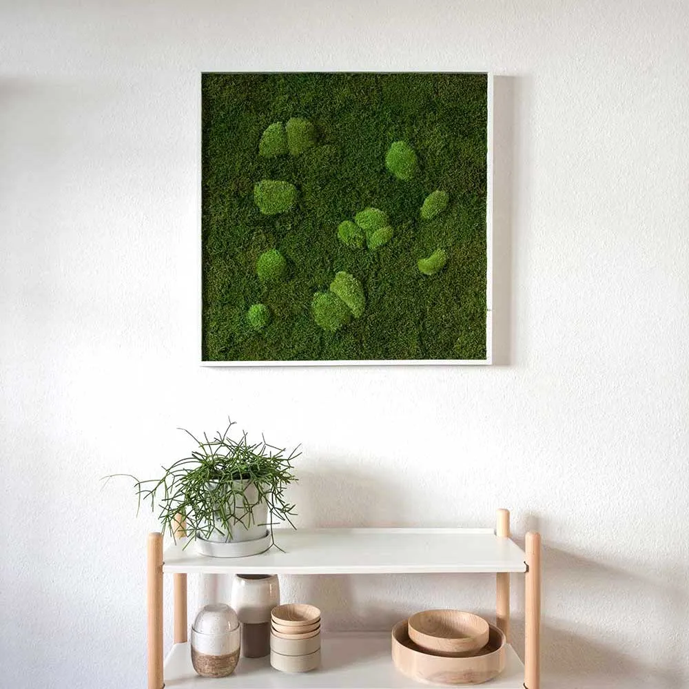 Forest Square Moss Wall Art (35cm)