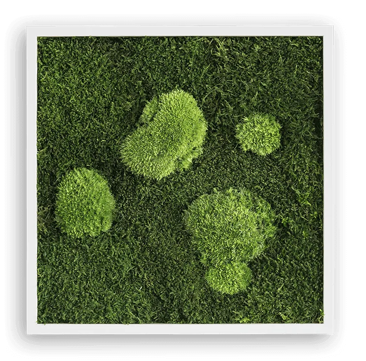 Forest Square Moss Wall Art (35cm)