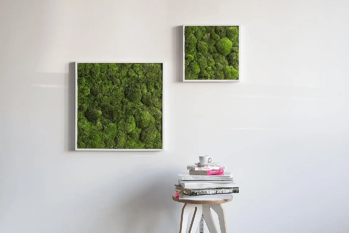 Green Square Moss Art (35cm)