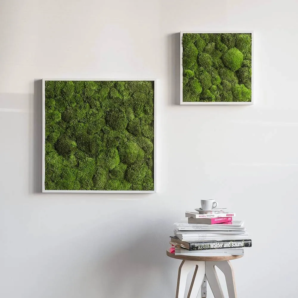 Green Square Moss Art (35cm)