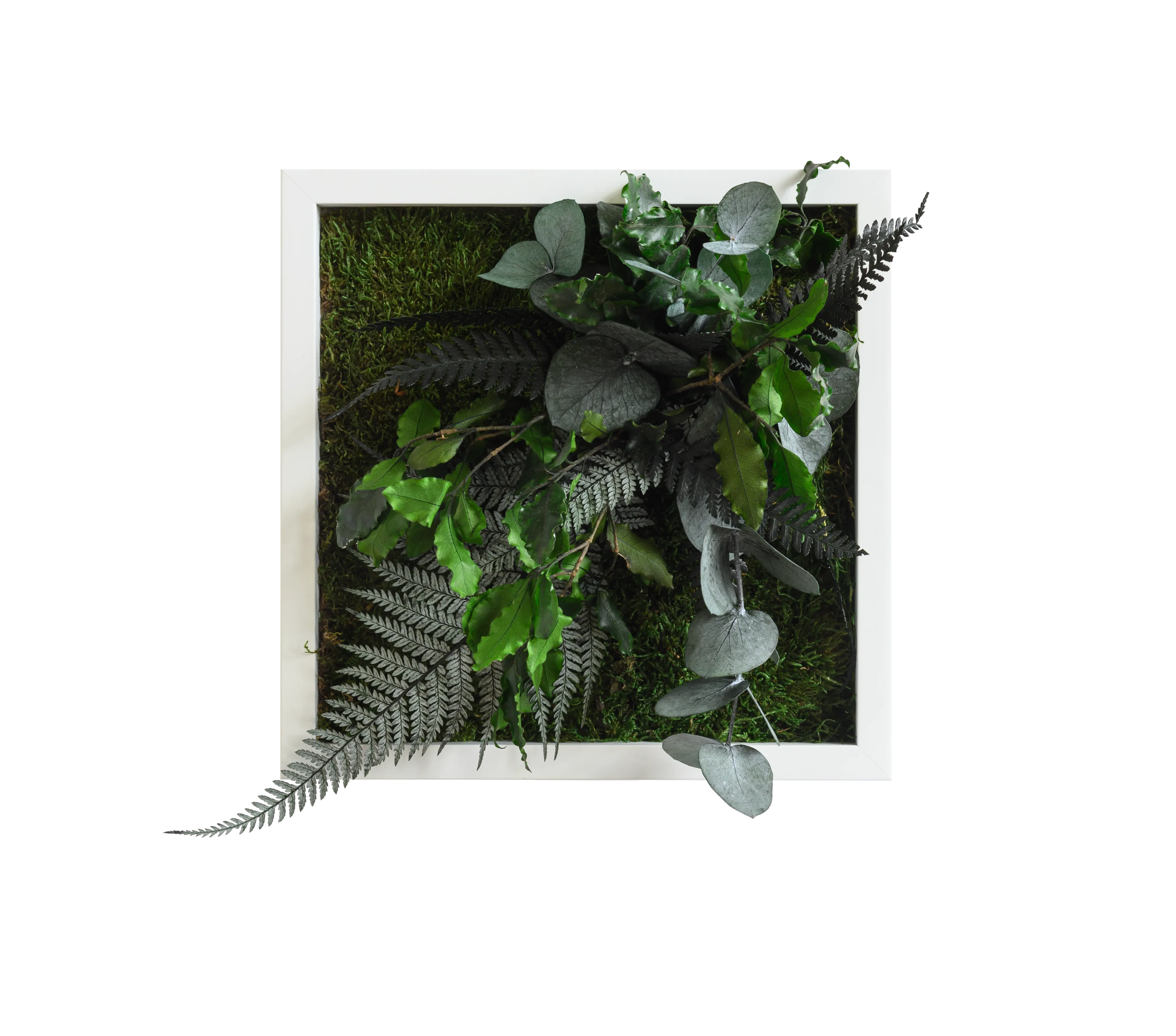 Jungle Square Plant and Moss Wall Art (22 cm)