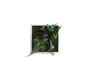 Jungle Square Plant and Moss Wall Art (22 cm)