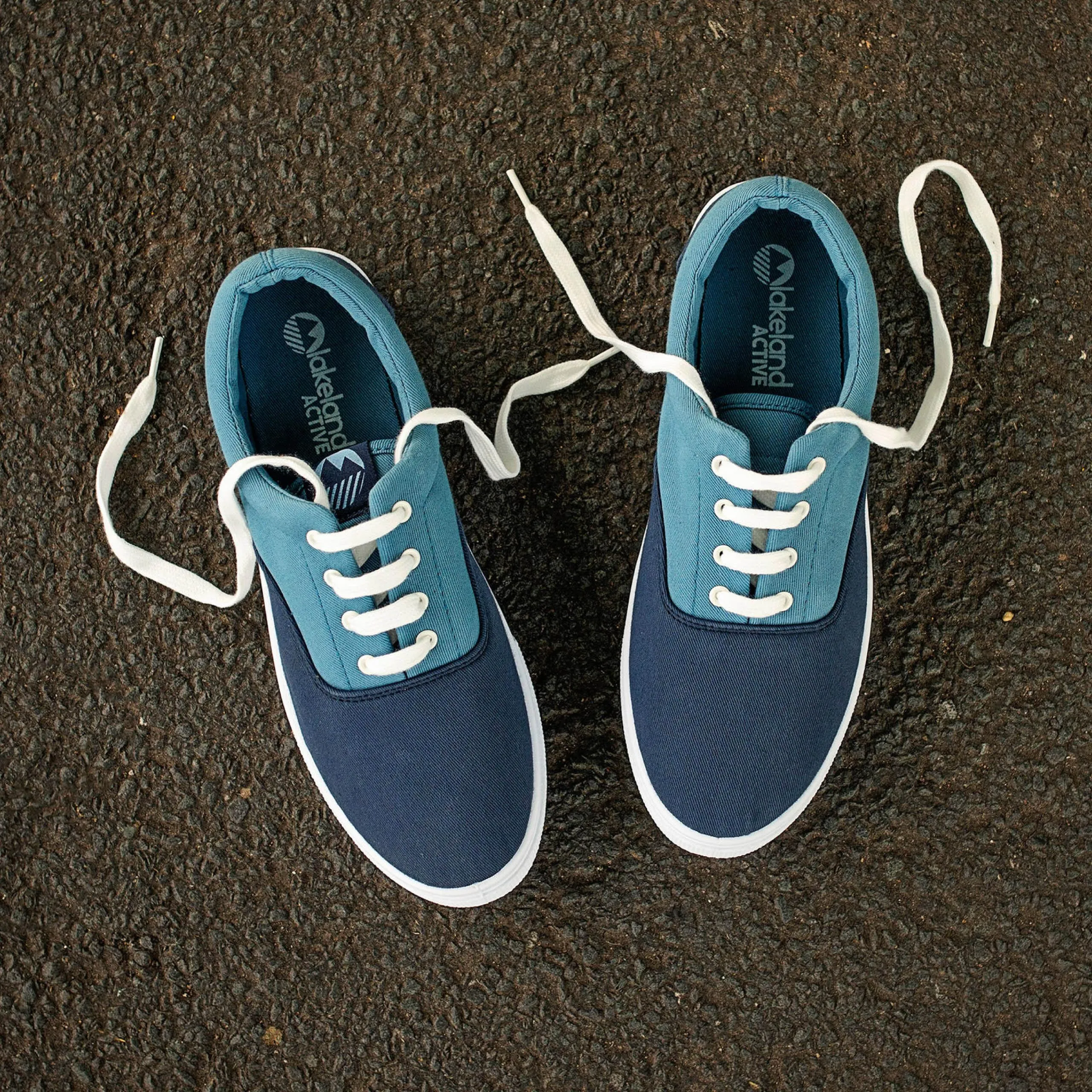 Men's Hudson Canvas Trainers