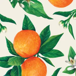 Orange Orchard Cocktail Napkin Set