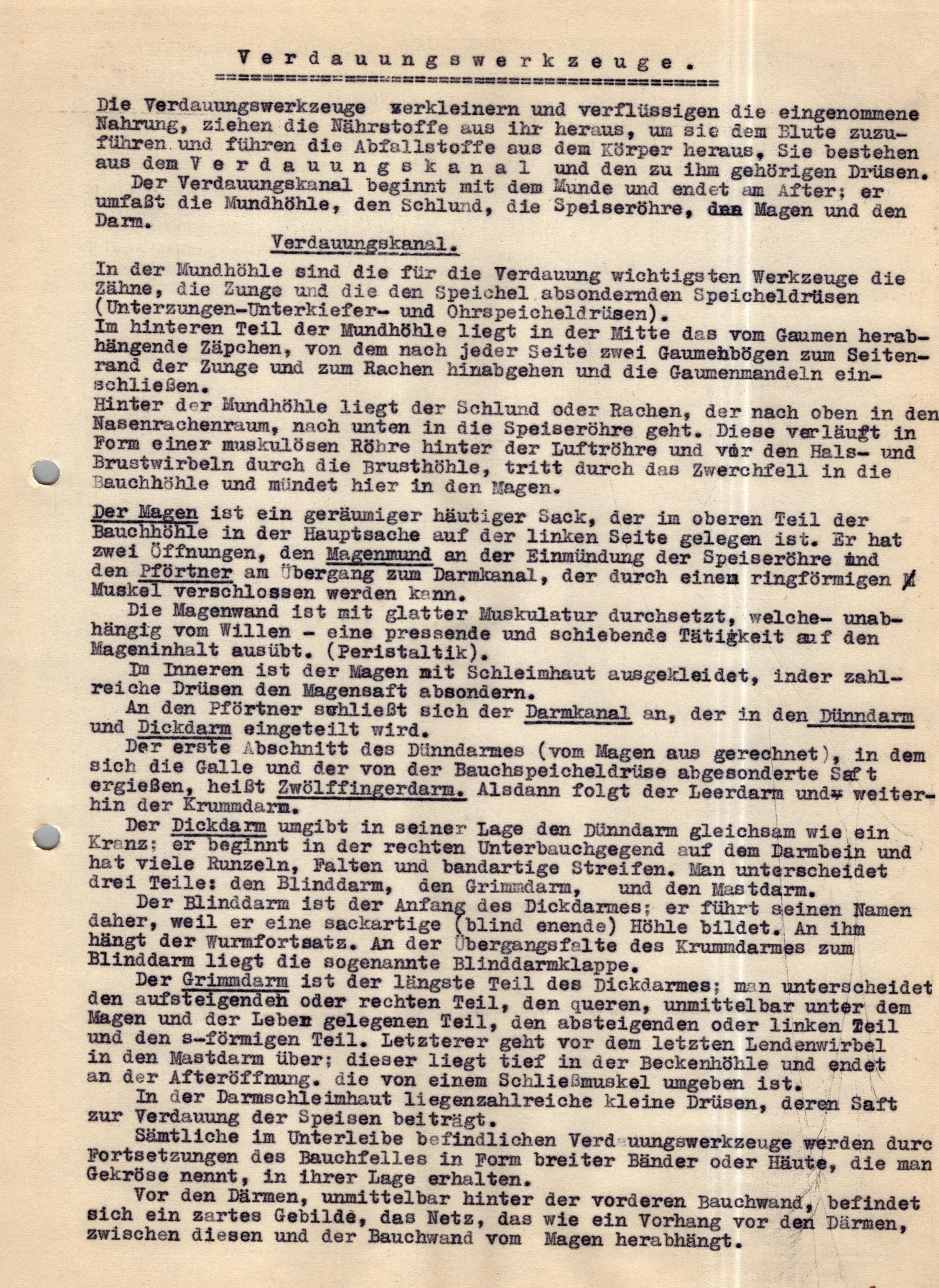 Original German WWII Massive Award & Document Grouping of Sanitäts-Feldwebel Friedrich Hofsommer of Panzerjäger - Abteilung 15