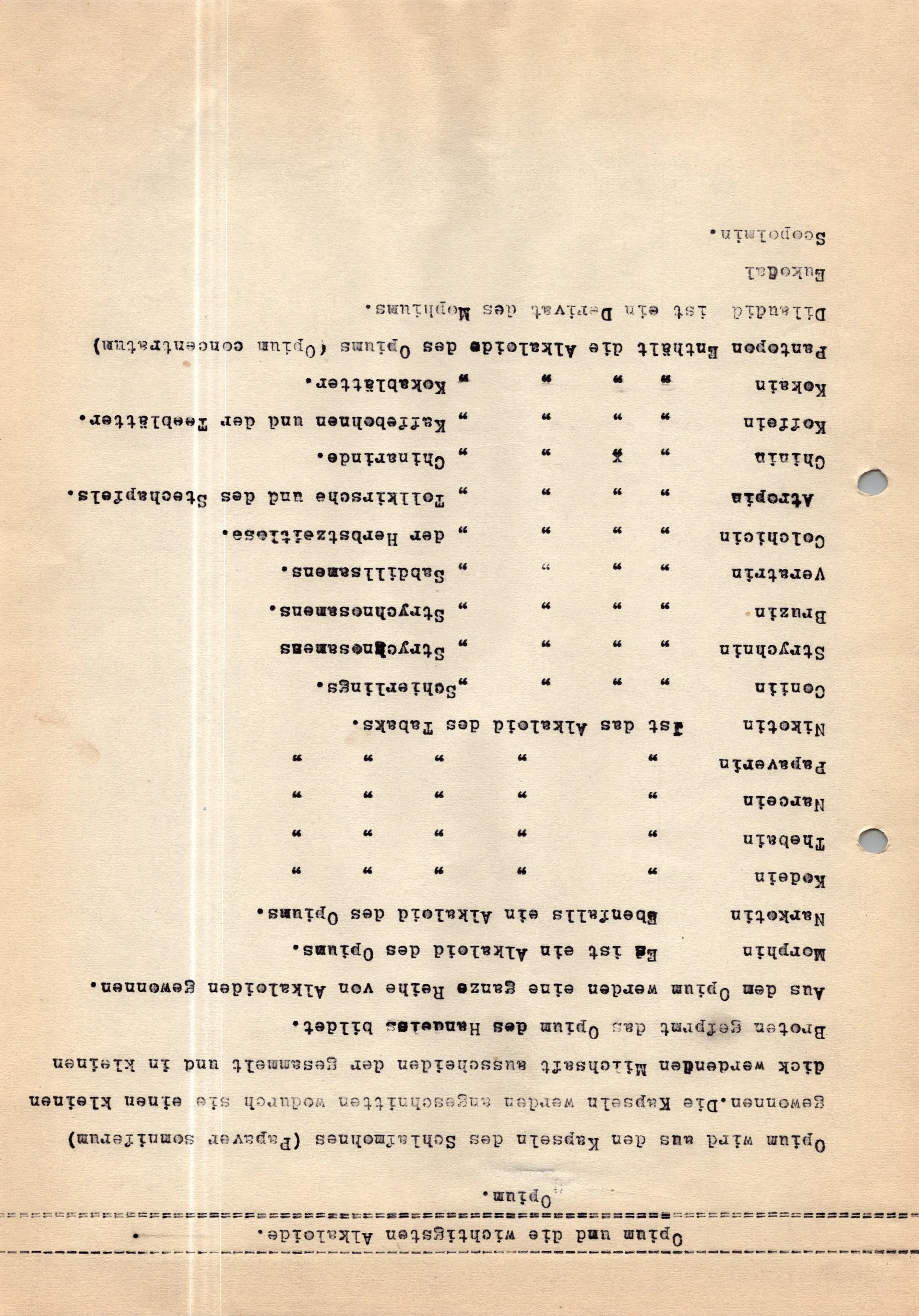 Original German WWII Massive Award & Document Grouping of Sanitäts-Feldwebel Friedrich Hofsommer of Panzerjäger - Abteilung 15