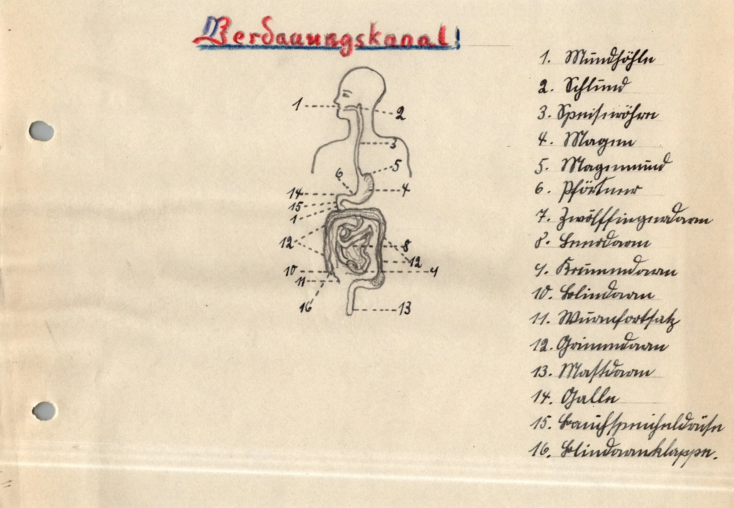 Original German WWII Massive Award & Document Grouping of Sanitäts-Feldwebel Friedrich Hofsommer of Panzerjäger - Abteilung 15