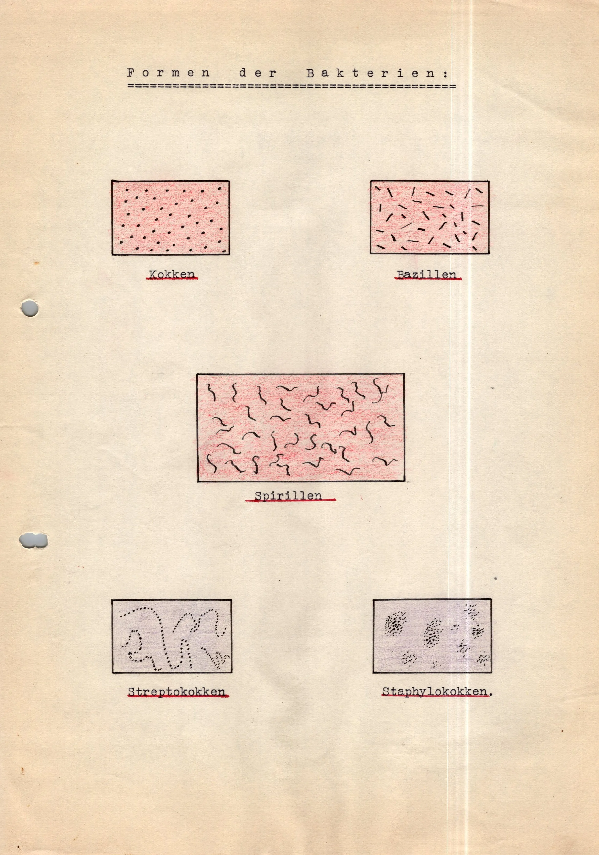 Original German WWII Massive Award & Document Grouping of Sanitäts-Feldwebel Friedrich Hofsommer of Panzerjäger - Abteilung 15