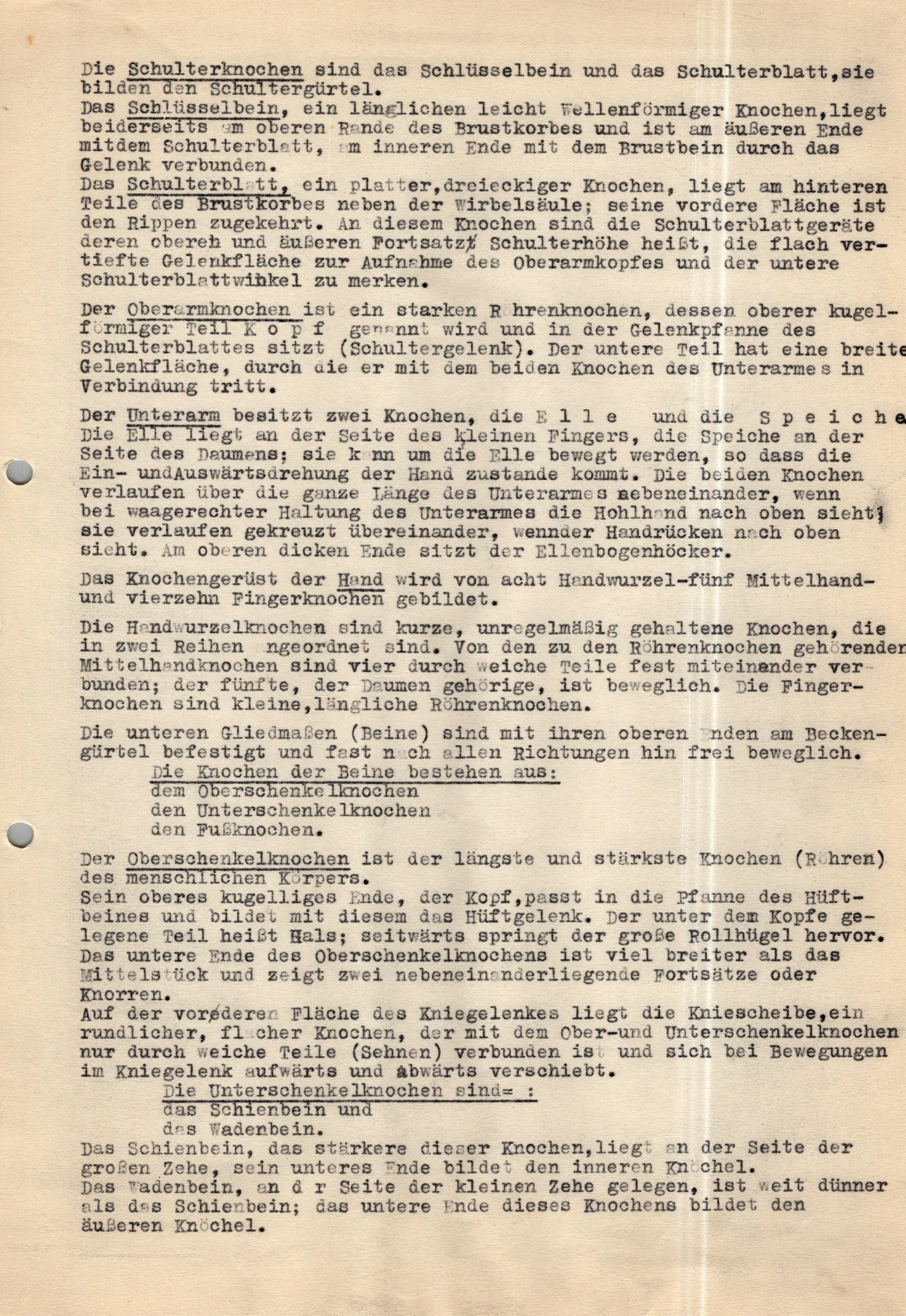 Original German WWII Massive Award & Document Grouping of Sanitäts-Feldwebel Friedrich Hofsommer of Panzerjäger - Abteilung 15