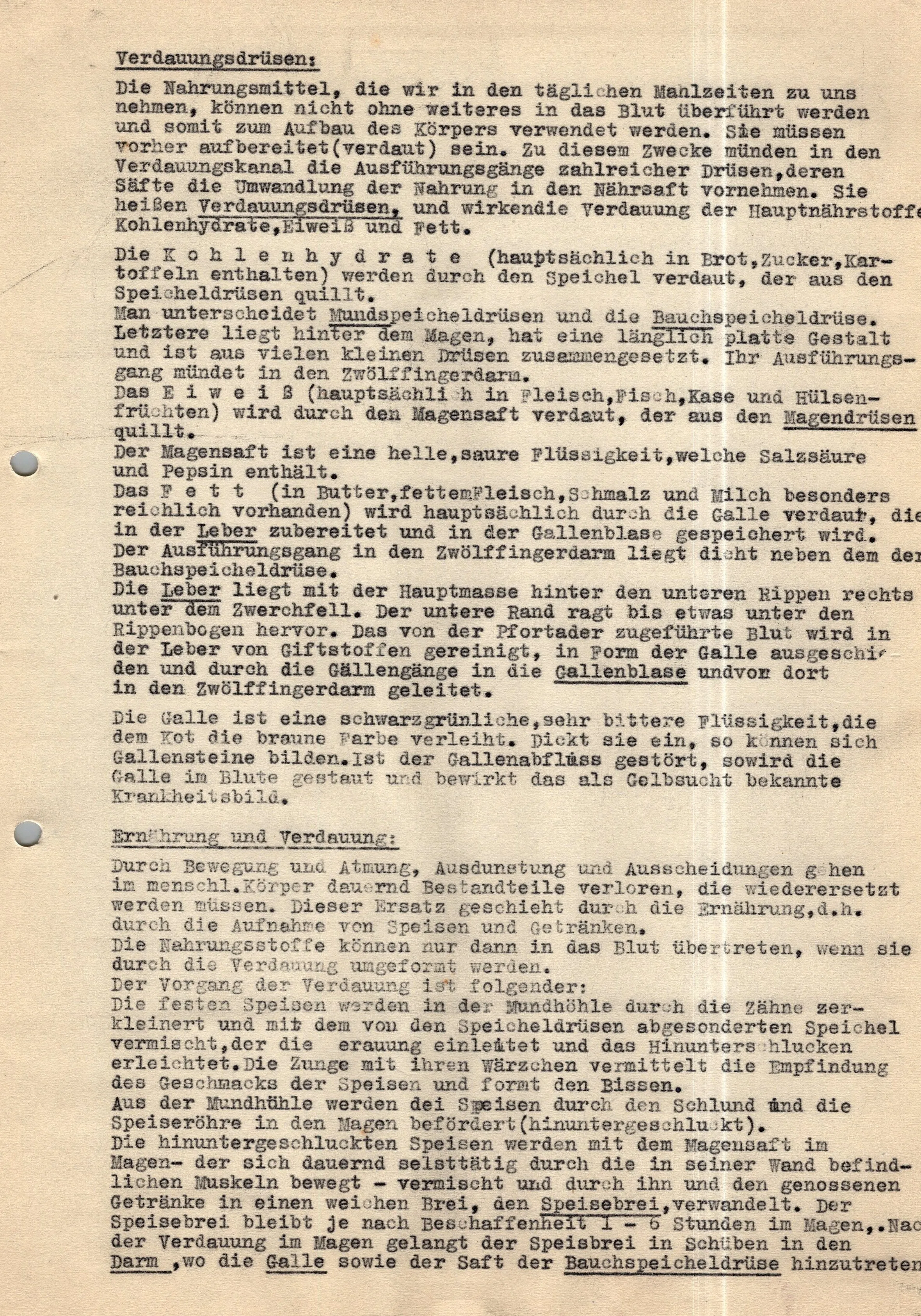 Original German WWII Massive Award & Document Grouping of Sanitäts-Feldwebel Friedrich Hofsommer of Panzerjäger - Abteilung 15