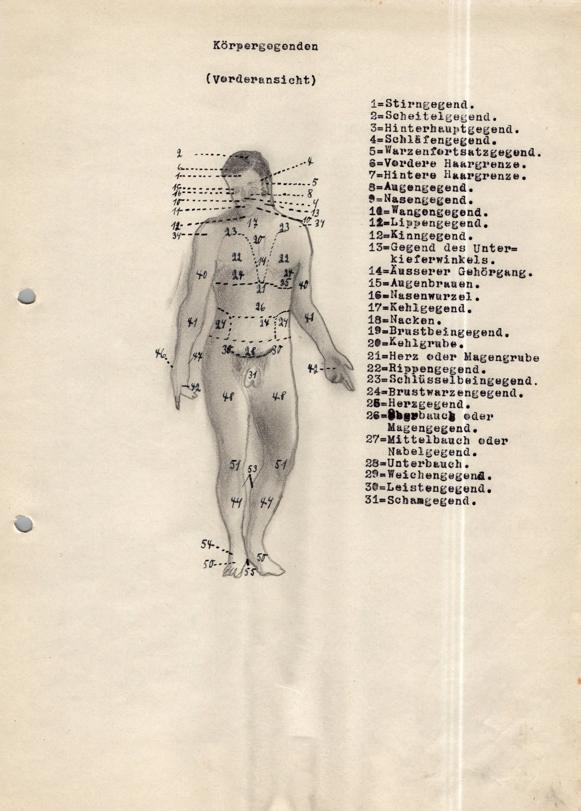 Original German WWII Massive Award & Document Grouping of Sanitäts-Feldwebel Friedrich Hofsommer of Panzerjäger - Abteilung 15