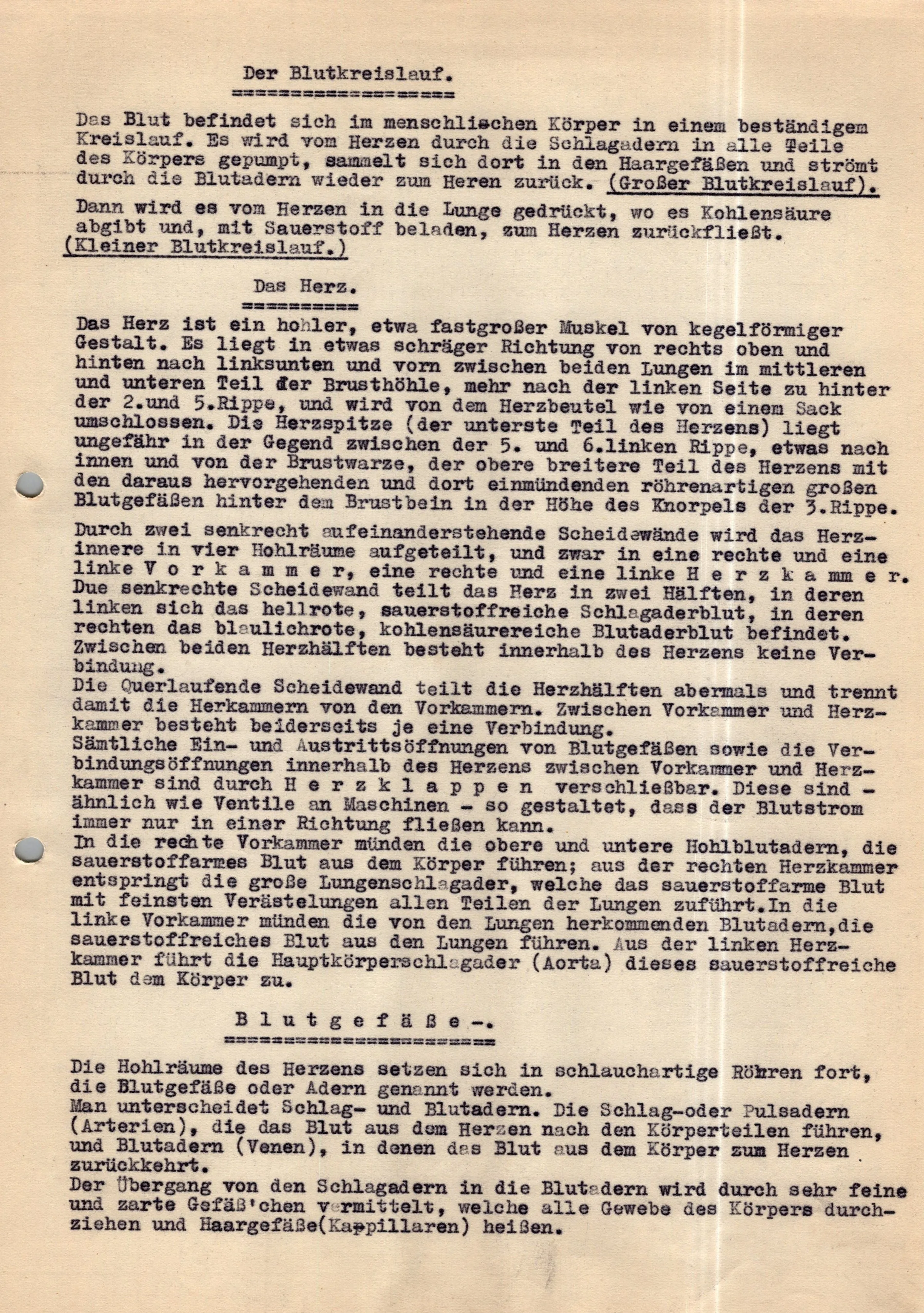 Original German WWII Massive Award & Document Grouping of Sanitäts-Feldwebel Friedrich Hofsommer of Panzerjäger - Abteilung 15