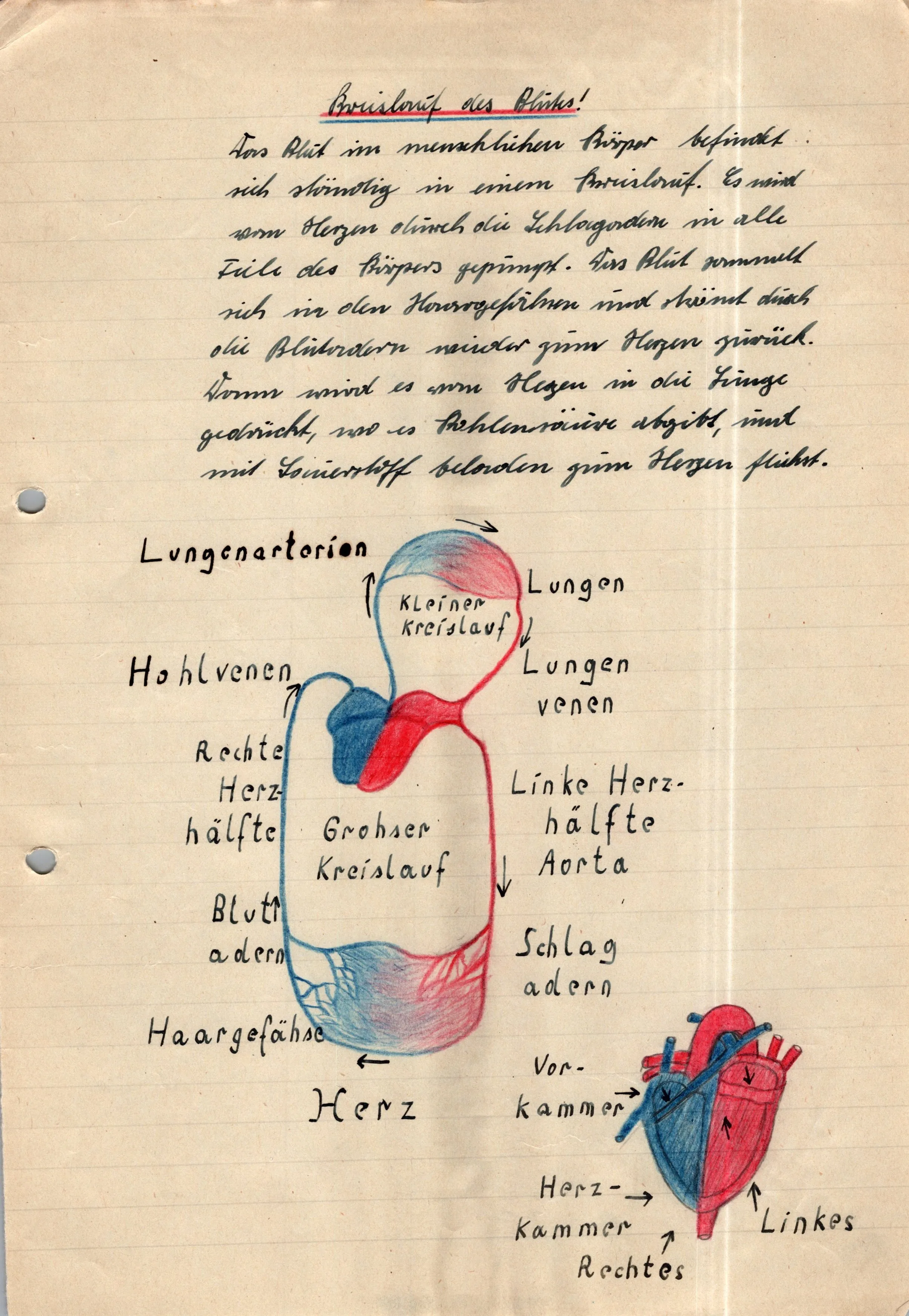 Original German WWII Massive Award & Document Grouping of Sanitäts-Feldwebel Friedrich Hofsommer of Panzerjäger - Abteilung 15