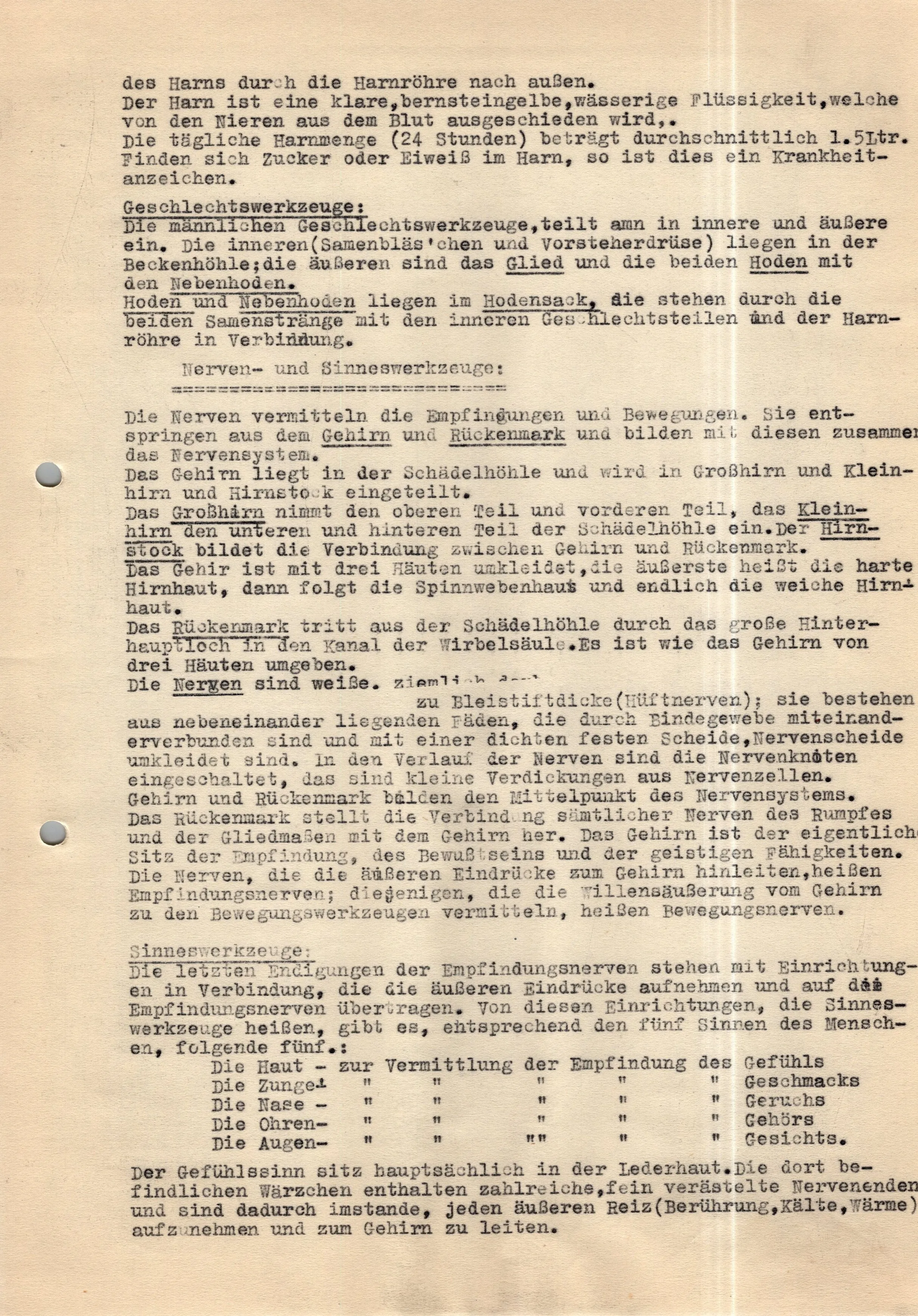 Original German WWII Massive Award & Document Grouping of Sanitäts-Feldwebel Friedrich Hofsommer of Panzerjäger - Abteilung 15