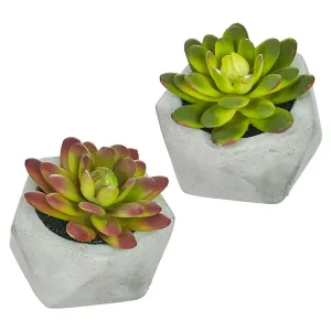 Raz Imports Hacienda 3.75-inch Potted Succulents, Assortment of 2