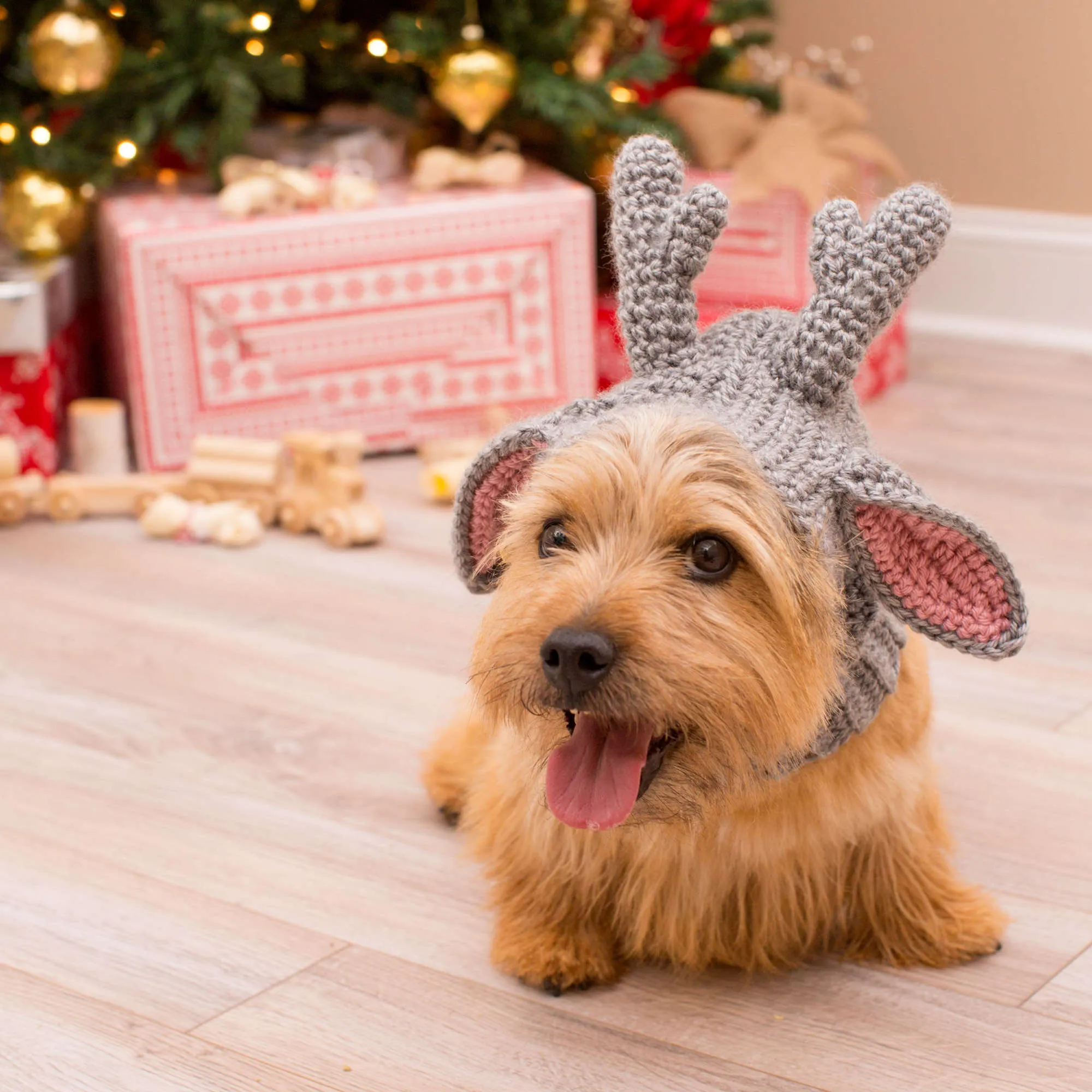 Red Heart Crochet Doggie Deer Snood