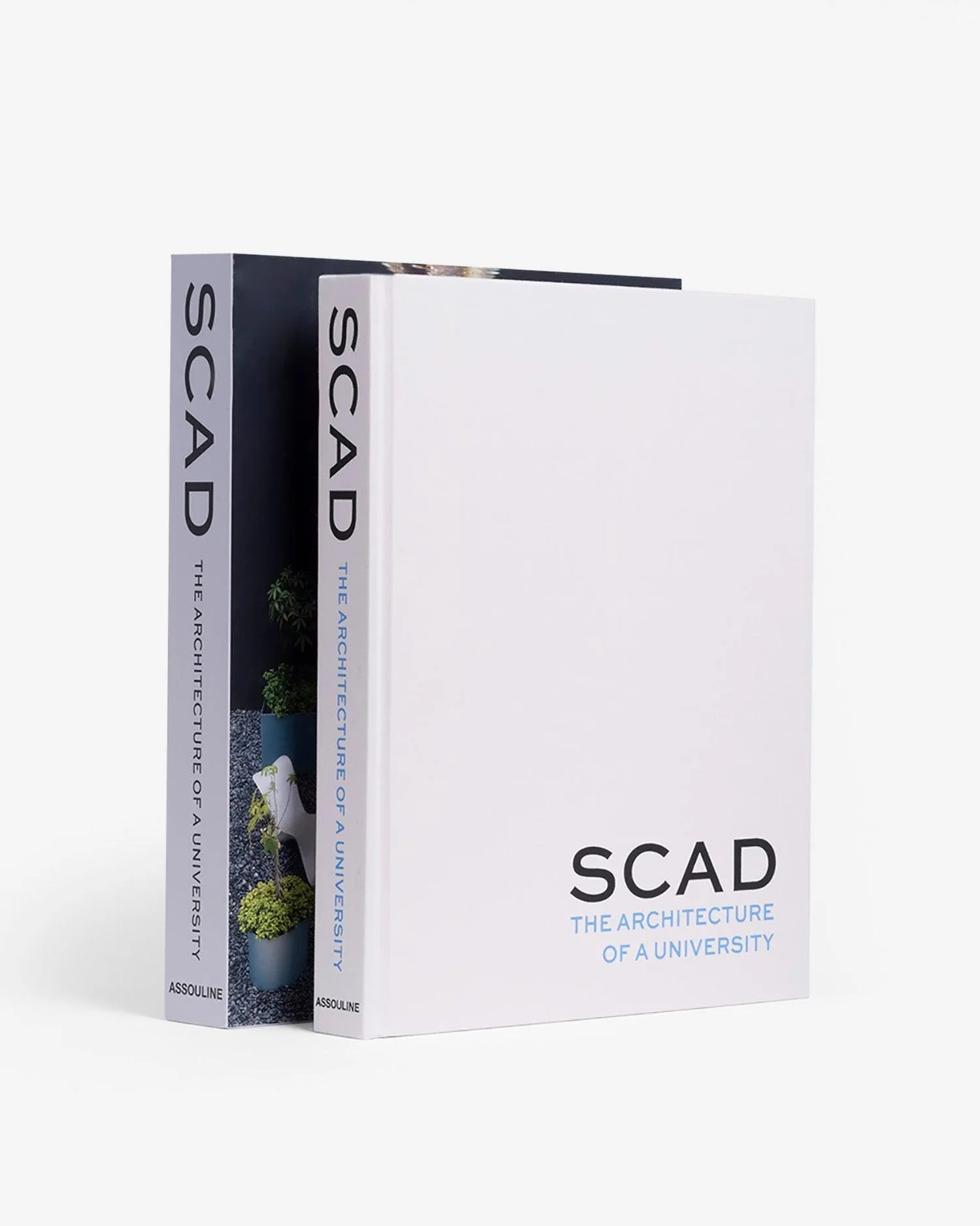 SCAD, Architecture of a University